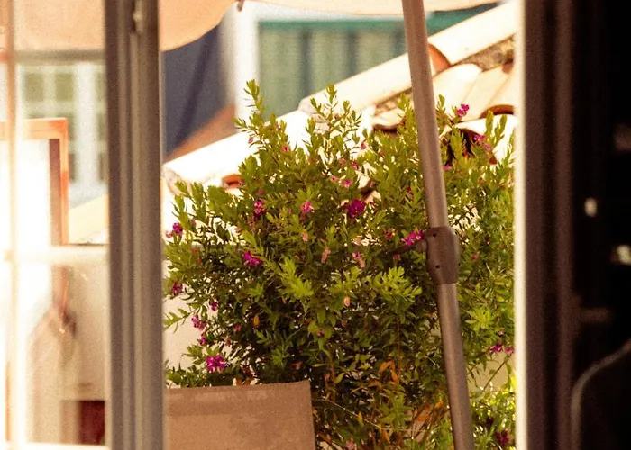 Txoko Saint-Jean-de-Luz